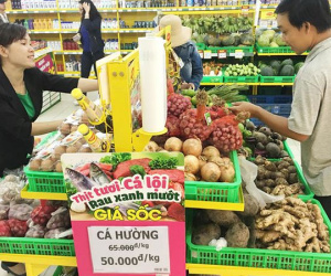 Đề xuất các chính sách thuế: Dễ thu, khó bỏ?