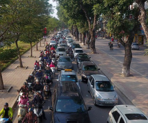 Hà Nội chuẩn bị chặt, dịch chuyển hơn 400 cây xanh trên đường Láng