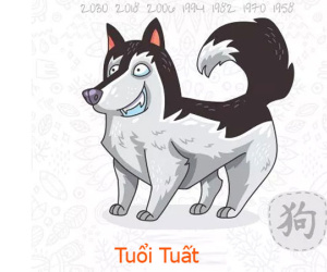 Tuổi Tuất năm Kỷ Hợi