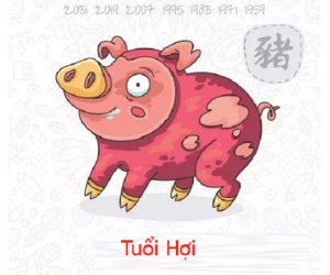 Tuổi Hợi năm Kỷ Hợi