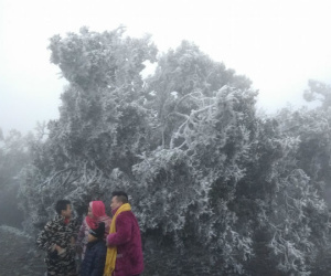 Núi Mẫu Sơn xuống âm 0,6 độ C, tiếp tục có băng giá diện rộng