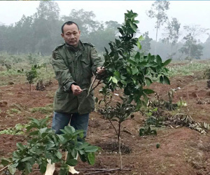 Trang trại cam bị đốt phá lúc đêm tối