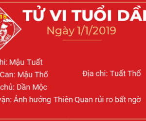 Tử vi ngày 1/1/2019 của 12 con giáp: Dần đi đường cẩn thận, Mùi hao tốn tiền của