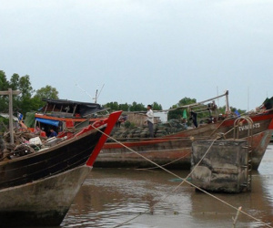 Bão số 1: Nhiều tỉnh đề nghị Trung ương hỗ trợ khẩn tàu cứu hộ