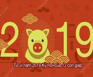 Chuyên gia phong thủy nổi tiếng thế giới dự đoán tài vận 12 con giáp năm 2019