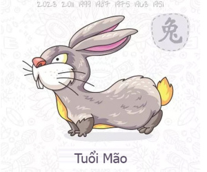 Tuổi Mão năm Kỷ Hợi
