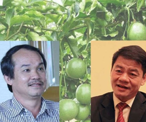 Chuyện về các tỉ phú đôla người Việt ngày đầu năm