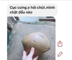 Lấy chồng 2 năm đến quả dừa cũng không biết bổ, nhưng điểm khiến cư dân mạng buồn cười là ảnh chụp của cô vợ