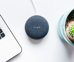 Google Assistant đã có thể phiên dịch trực tiếp tiếng Việt