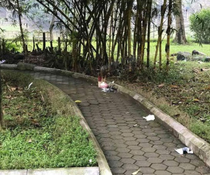 Thông tin mới nhất về vụ một phụ nữ chết bí ẩn trong vườn hoa, thi thể không có quần