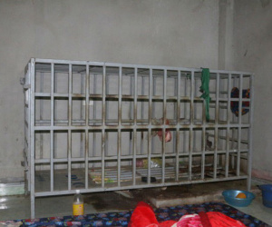 Trưởng công an huyện thông tin vụ người chồng ở Thanh Hóa tố bị vợ nhốt trong cũi sắt