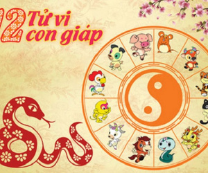 Tử vi Chủ nhật ngày 13/1/2019 của 12 con giáp: Hợi thu tiền không ngớt