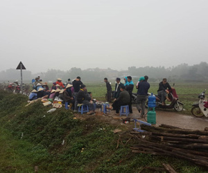 Ảnh minh họa