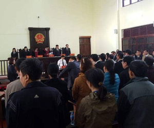 Luật sư lại đề nghị hoãn phiên tòa xét xử bác sĩ Hoàng Công Lương