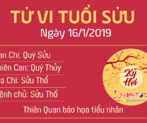 Tử vi thứ 4 ngày 16/1/2019 của 12 con giáp: Tị tiền tình đầy tay, Thìn bị kẻ thứ 3 phá hoại