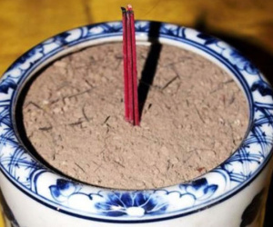 6 điều cần biết khi rút tỉa chân nhang để không phạm điều đại kỵ, mang đến may mắn cho gia đình