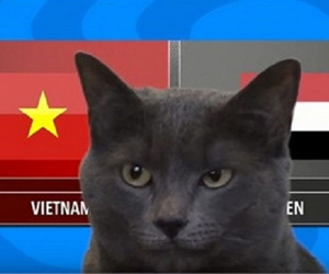 Mèo Cass 'tiên tri' dự đoán sốc kết quả trận Việt Nam - Yemen hôm nay