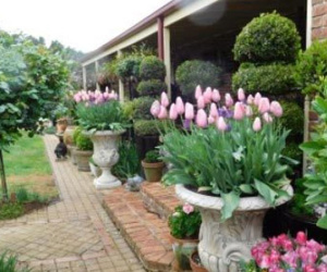 Thưởng tết 10 triệu, chồng trẻ đề nghị điều khó tin