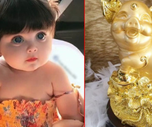 Sinh con năm Kỷ Hợi 2019 là bắt được HEO VÀNG, 60 năm mới có 1 lần: Lời đồn hay SỰ THẬT?