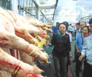 TP.HCM: Gần một tấn heo lở mồm long móng bị tuồn vào chợ đầu mối tiêu thụ Tết