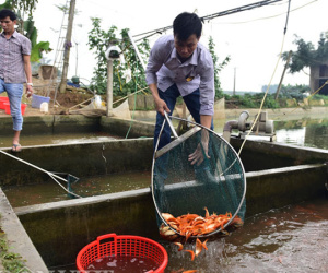 Ảnh: Nhộn nhịp làng sản xuất 'siêu xe' chở ông Công ông Táo