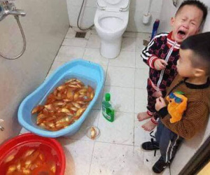 2 anh em có nhã ý tắm cho cá vàng bằng nước lau sàn, kết quả là bố mẹ mất toi Ông Công Ông Táo