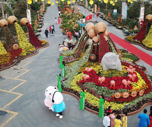 Cận cảnh đường hoa Tết đầu tiên mở cửa tham quan ở Sài Gòn