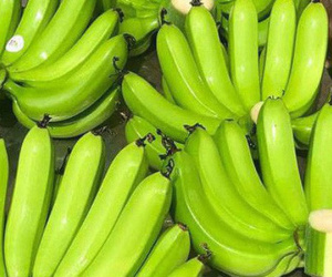 Giá chuối xanh bị đẩy lên trên 300.000 đồng/nải vẫn hút người mua