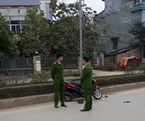 Ảnh minh họa