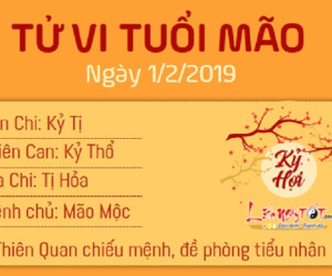 Tử vi thứ 6 ngày 1/2/2019 của 12 con giáp: Dậu tình tiền song thu, Hợi dễ vướng thị phi