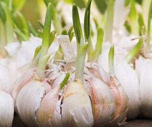 Sau Tết đừng tiếc rẻ những thực phẩm này vì rất độc hại, tuyệt đối đừng ăn