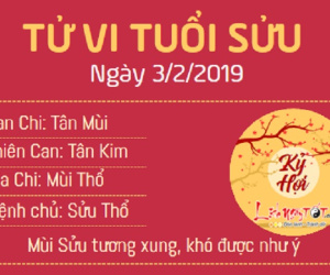 Tử vi Chủ nhật ngày 3/2/2019 của 12 con giáp: Tý tài lộc dồi dào, Thân gặp họa phá tài