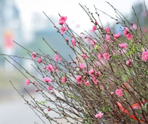 Danh sách ngày đẹp khai trương, mở hàng hút tài lộc 2019