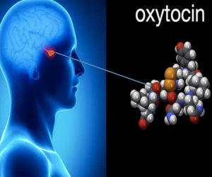 Khám phá sự kỳ diệu của 'hormon tình yêu'
