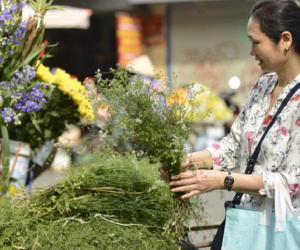 Ngày cuối năm tắm lá mùi già, nét truyền thống đẹp đậm vị Tết của miền Bắc