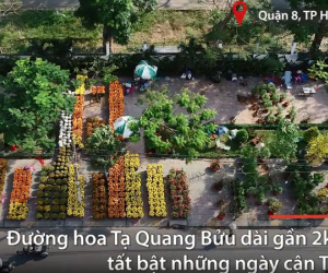 Video: Đường hoa dài gần 2km ở Sài Gòn nhộn nhịp ngày giáp Tết