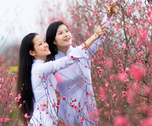 Dự báo thời tiết mùng 1 Tết: Cả nước du xuân trong nắng ấm