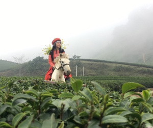 Giới trẻ tấp nập đổ về cao nguyên Mộc Châu du xuân Kỷ Hợi 2019