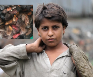 Bới rác để tìm tóc và bán sang Trung Quốc: cứu cánh cho dân nghèo Pakistan
