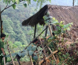 Chồng giết vợ, đâm trọng thương hai em vợ vào đêm 30 Tết: Hé lộ nguyên nhân