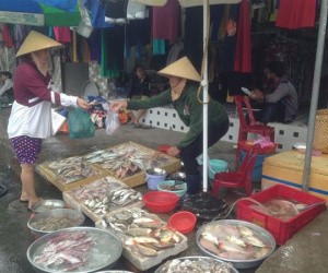 Mùng 4 Tết: Siêu thị vắng hoe, hải sản 'chợ cóc' tăng giá gấp đôi