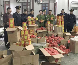 Bộ Công an bắt 1.200 người, thu hơn 20 tấn pháo trong dịp Tết