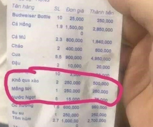 Vụ đĩa mồng tơi xào 250.000 đồng: Phạt nhà hàng tận... 750.000 đồng