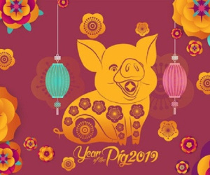Tài vận theo độ tuổi của người tuổi Hợi trong năm 2019