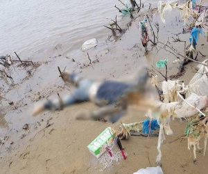 Thanh Hóa: Phát hiện thi thể phụ nữ đang phân huỷ mang theo tiền ngoại tệ trôi dạt vào bờ biển