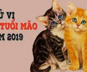 6 con giáp này tài vận bùng nổ, tiền đếm không hết năm 2019