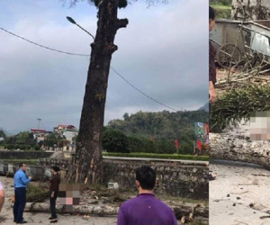 Video: Thong dong tản bộ gần bến xe, nam thanh niên Hà Giang bất ngờ bị cành cây gạo rơi trúng đầu, tử vong tại chỗ