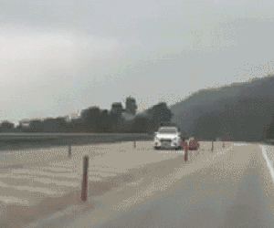 Thêm 1 gia đình dừng ô tô, trải thảm ăn uống giữa đường cao tốc khiến dư luận bức xúc