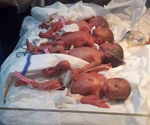Bà mẹ trẻ sinh tự nhiên một lần 7 bé
