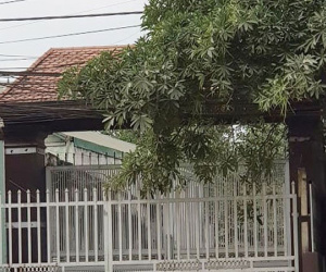 Lời khai lạnh người của nghi can giết vợ, phân xác phi tang